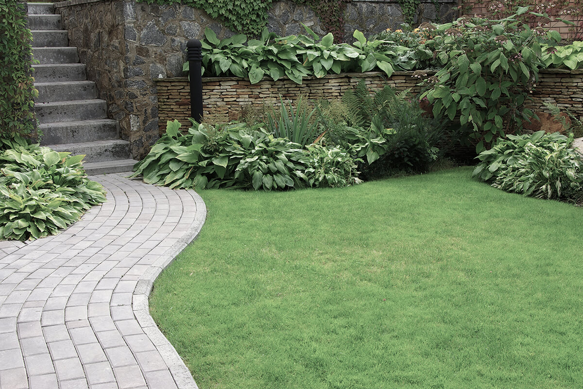 Welcome to Lady Landscaping